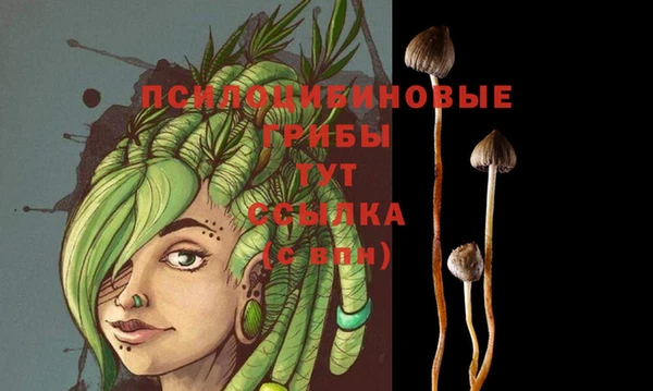 мет Алзамай